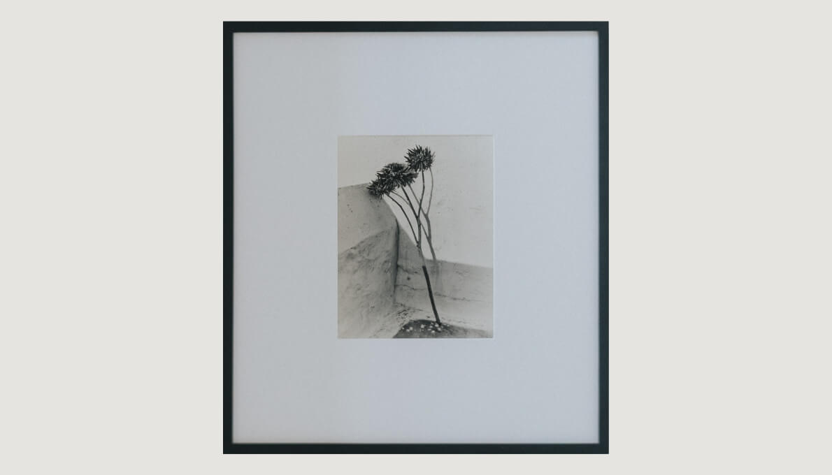 Untitled III